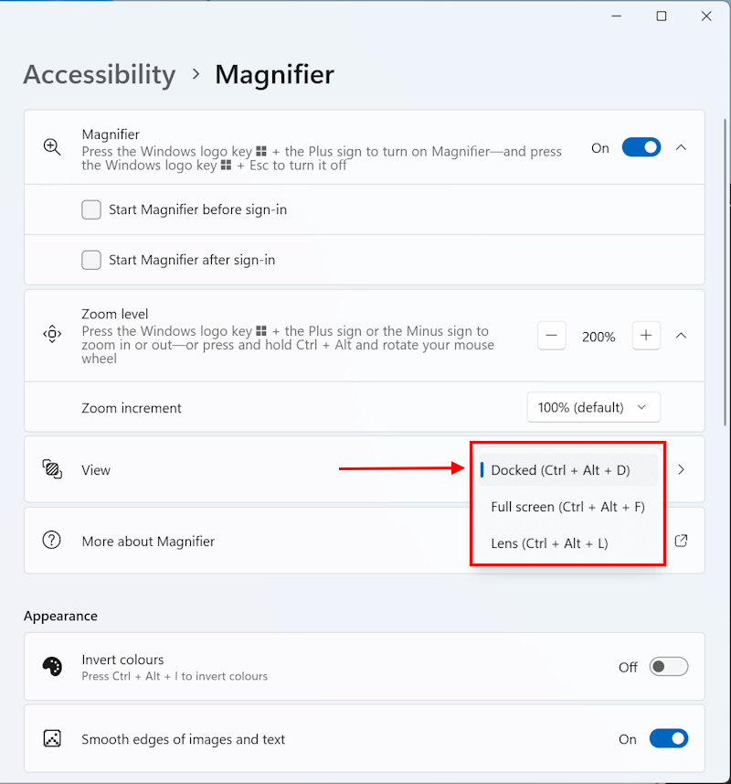 Click on the Change magnifier view dropdown menu and select a new view